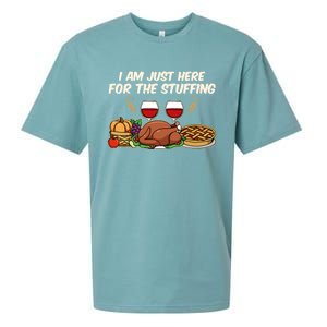 I Am Just Here For The Stuffing Gift Sueded Cloud Jersey T-Shirt