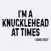 I’M A Knucklehead At Times Sueded Cloud Jersey T-Shirt