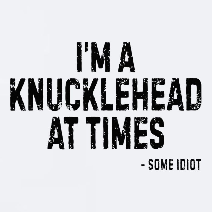 I’M A Knucklehead At Times Sueded Cloud Jersey T-Shirt