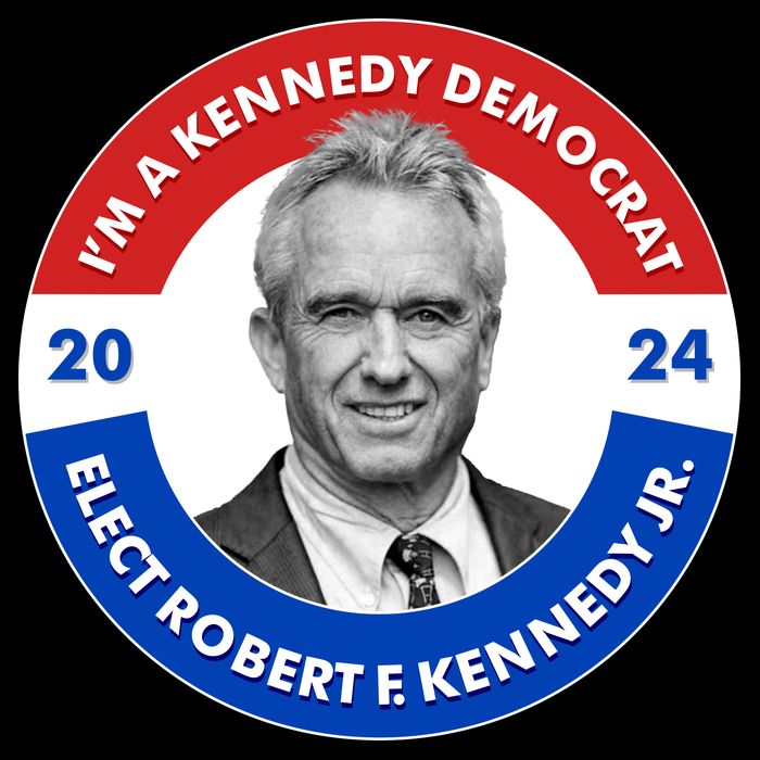 Im A Kennedy Democrat Elect Robert F Kennedy Jr For President Emblem Button Impact Tech Backpack