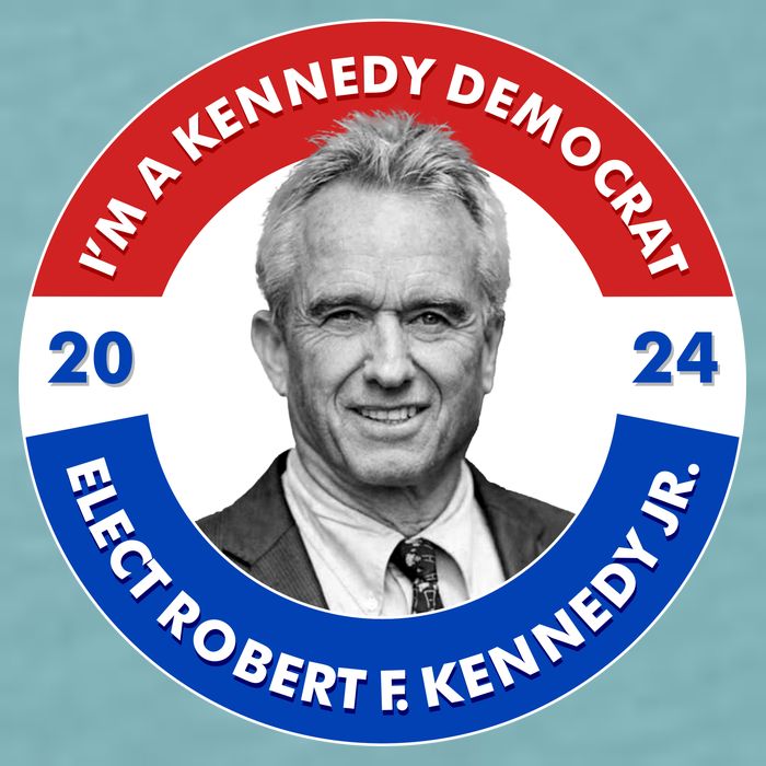 Im A Kennedy Democrat Elect Robert F Kennedy Jr For President Emblem Button Sueded Cloud Jersey T-Shirt