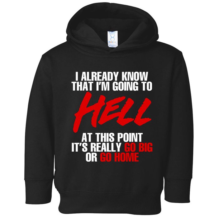 I Already Know That I’m Going To Hell At This Point It’s Really Go Big Or Go Hom Toddler Hoodie