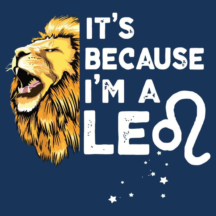 Im A Leo Zodiac Sign Astrology July August Birthday Leo Hoodie