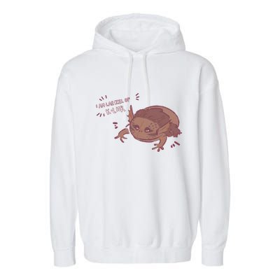 I Am Laezel Of Kliir Baldurs Gate 3 Gamer Game Lover Garment-Dyed Fleece Hoodie