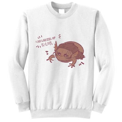 I Am Laezel Of Kliir Baldurs Gate 3 Gamer Game Lover Sweatshirt