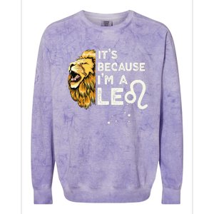 Im A Leo Zodiac Sign Astrology July August Birthday Leo Colorblast Crewneck Sweatshirt