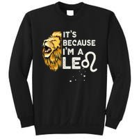 Im A Leo Zodiac Sign Astrology July August Birthday Leo Sweatshirt