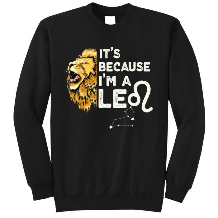 Im A Leo Zodiac Sign Astrology July August Birthday Leo Sweatshirt