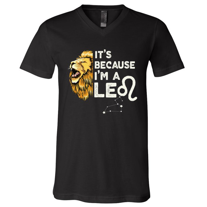 Im A Leo Zodiac Sign Astrology July August Birthday Leo V-Neck T-Shirt