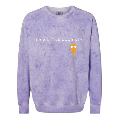 IM A Little Door Key Nerdy Bad Dorky Mom Dad Funny Colorblast Crewneck Sweatshirt