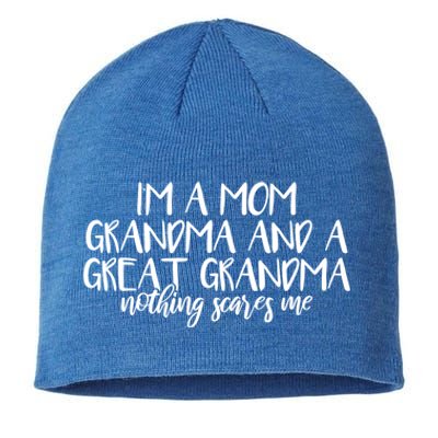 I'm A Mom Grandma And A Great Grandma Nothing Scares Me Funny Gift Sustainable Beanie