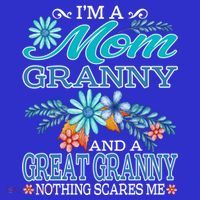 I'm A Mom Granny And A Great Granny Nothing Scares Me Gift Premium T-Shirt