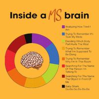 Inside A Ms Brain Multiple Sclerosis Awareness Pom Pom 12in Knit Beanie