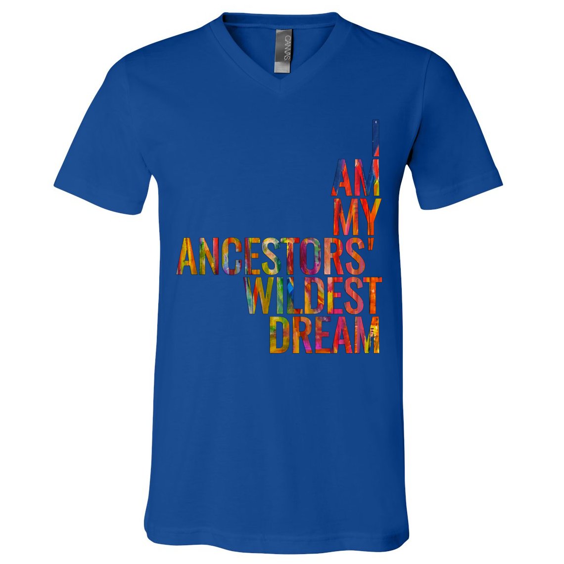 I Am My Ancestors Wildest Dream Cute Gift V-Neck T-Shirt