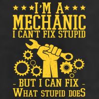 I'm A Mechanic I Can't Fix Stupid But I Can Fix What Stupid Does Beanie
