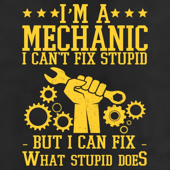 I'm A Mechanic I Can't Fix Stupid But I Can Fix What Stupid Does Beanie