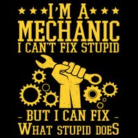 I'm A Mechanic I Can't Fix Stupid But I Can Fix What Stupid Does Drawstring Bag