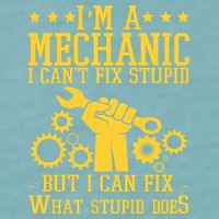 I'm A Mechanic I Can't Fix Stupid But I Can Fix What Stupid Does Sueded Cloud Jersey T-Shirt