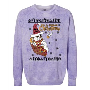 It's A Magical Christmas Owl Wizards Hedwig Lover Ugly Xmas Colorblast Crewneck Sweatshirt