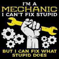 Im A Mechanic Cant Fix Stupid Funny Car Auto Garage T-Shirt