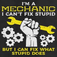 Im A Mechanic Cant Fix Stupid Funny Car Auto Garage Hat
