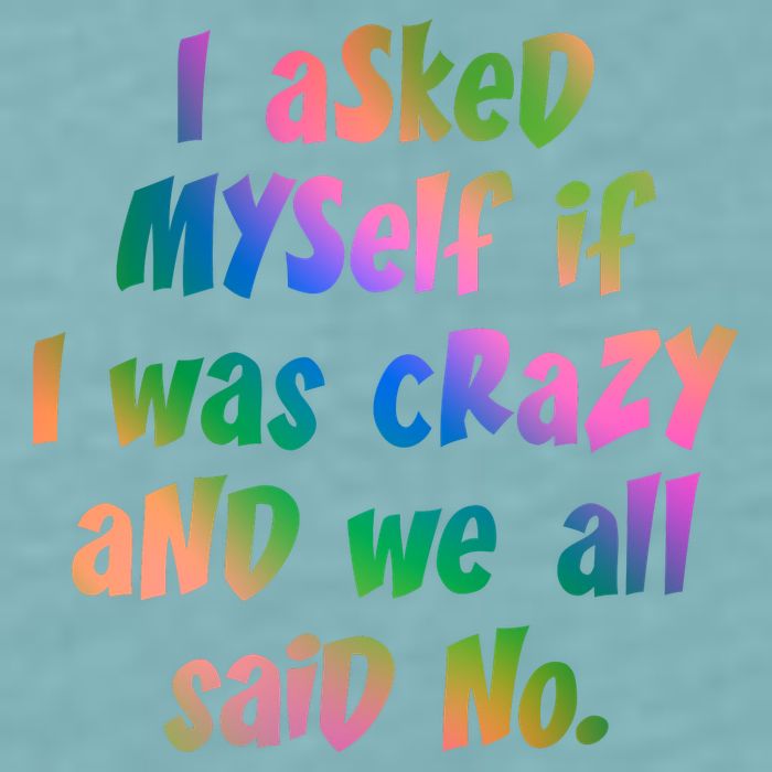 I Asked Myself If I Was Crazy And We All Said No. Sueded Cloud Jersey T-Shirt