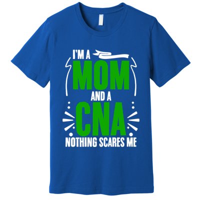 Im A Mom And A Cna Nothing Scares Me Cna Week Nurse Mom Cute Gift Premium T-Shirt