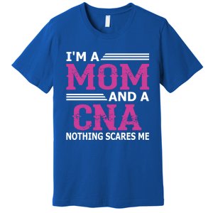 Im A Mom And A Cna Nothing Scares Me Funny Nurse Gift Premium T-Shirt