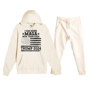 I Am More Maga Now Than Ever Trump 2024 You Missed Trump Premium Hooded Sweatsuit Set