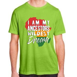 I Am My Ancestors Wildest Dream Black History Month Gift Adult ChromaSoft Performance T-Shirt