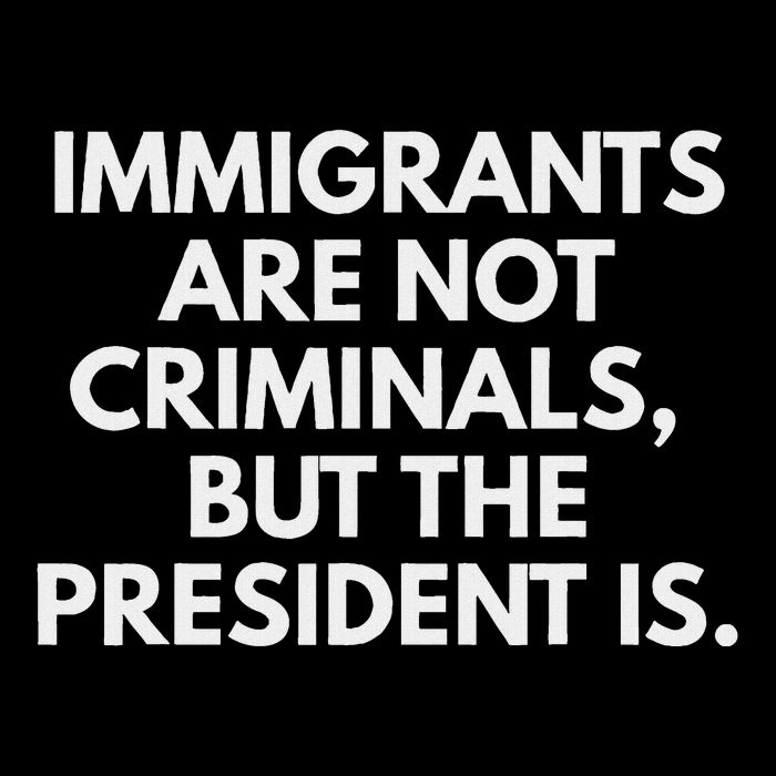 Immigrants Are Not Criminals But The President Is Cropped Pullover Crew