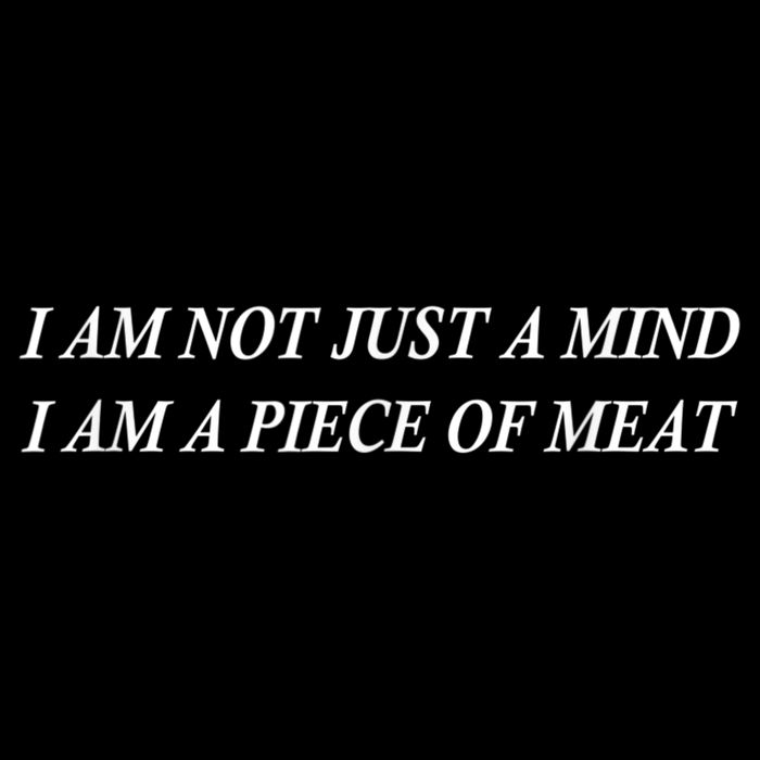 I Am Not Just A Mind I Am A Piece Of Meat Flexfit Unipanel Trucker Cap