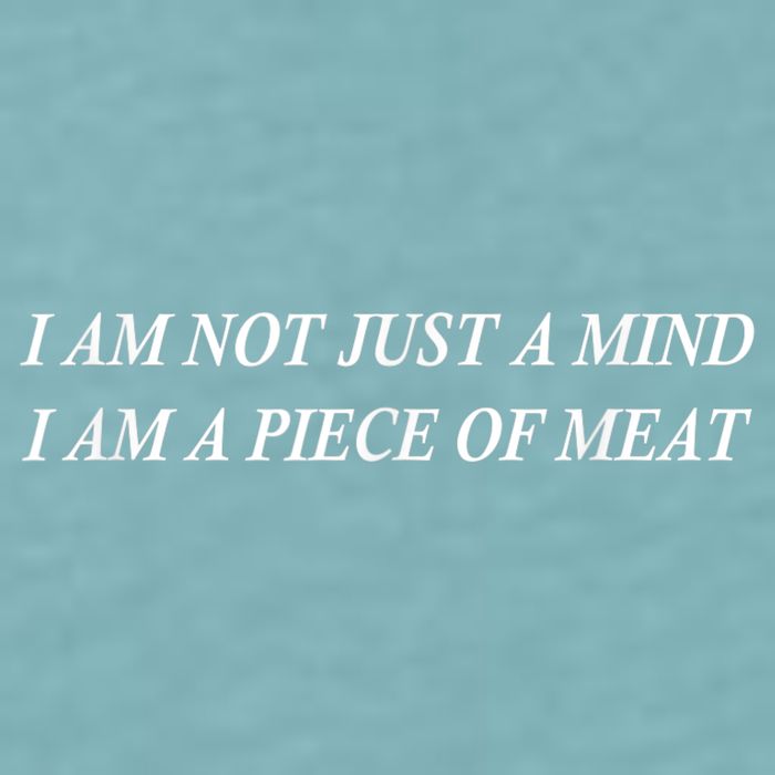 I Am Not Just A Mind I Am A Piece Of Meat Sueded Cloud Jersey T-Shirt