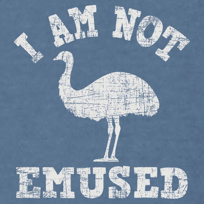 I Am Not Emused Safari Animal Lover Zookeeper Emu Lover Garment-Dyed Sweatshirt