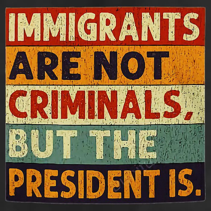 Immigrants Are Not Criminals But The President Is Funnyy 7 Panel Mesh Trucker Snapback Hat