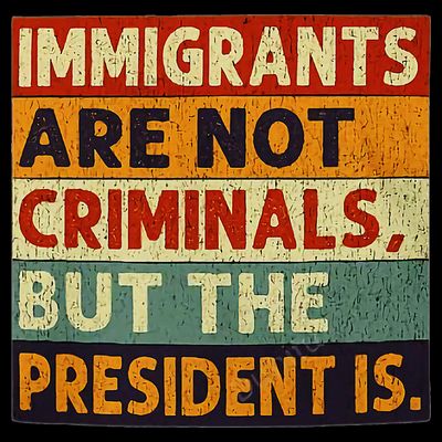 Immigrants Are Not Criminals But The President Is Funnyy T-Shirt