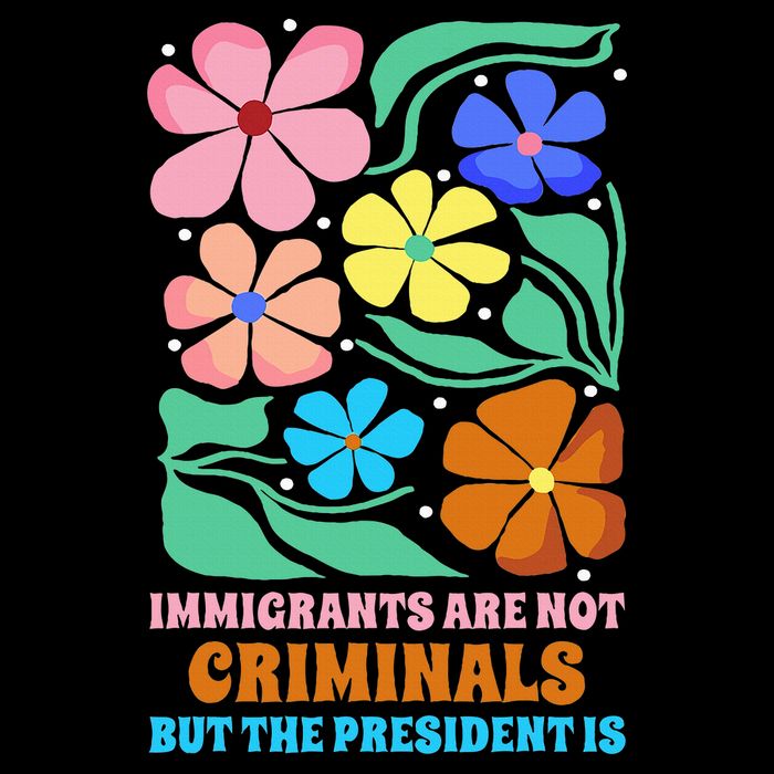 Immigrants Are Not Criminals But The President Is  Mesh Reversible Basketball Jersey Tank