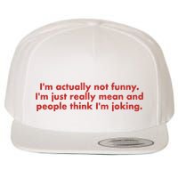 Im Actually Not Funny Im Just Really Mean And People Think Wool Snapback Cap