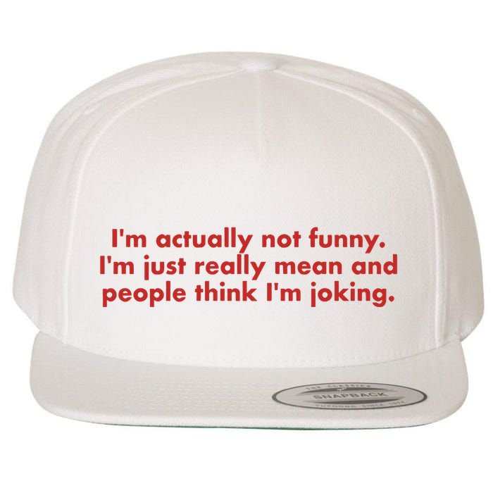 Im Actually Not Funny Im Just Really Mean And People Think Wool Snapback Cap
