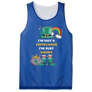 I Am Not A Leprecahun I Am Just Short Funny St Patrick's Gift Mesh Reversible Basketball Jersey Tank