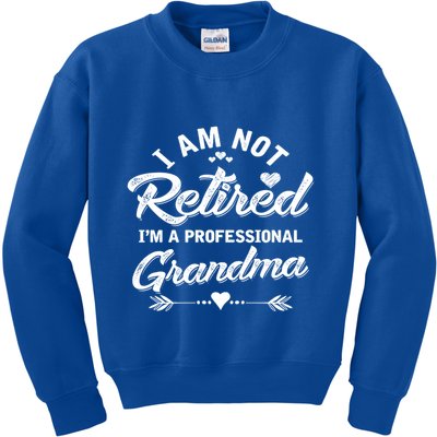 I Am Not Retired IM A Professional Grandma Gift Kids Sweatshirt