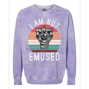 I Am Not Emused Funny bird lover Emu Pun Colorblast Crewneck Sweatshirt