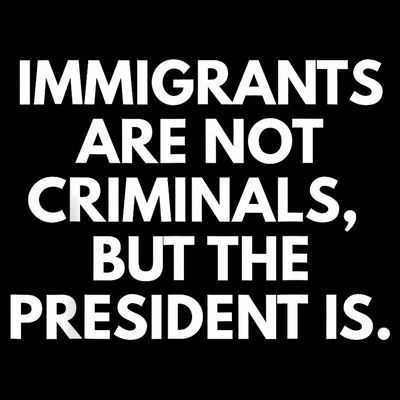 Immigrants Are Not Criminals But The President Is Funny T-Shirt