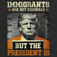 Immigrants Are Not Criminals But The President Is Funny Hat