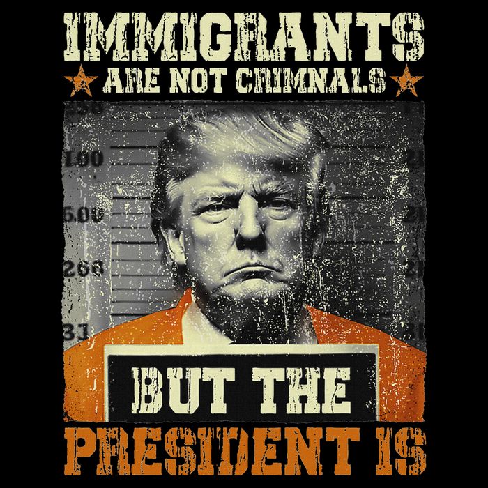 Immigrants Are Not Criminals But The President Is Funny Cropped Pullover Crew