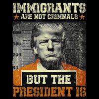 Immigrants Are Not Criminals But The President Is Funny Kids T-Shirt