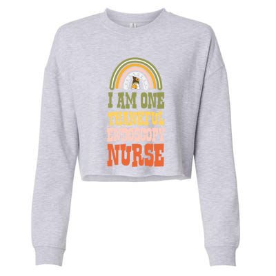 I Am One Thankful Endoscopy Nurse Bohemian Thanksgiving Cool Gift Cropped Pullover Crew