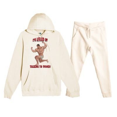 IM Afraid Of Talking To Women Premium Hooded Sweatsuit Set