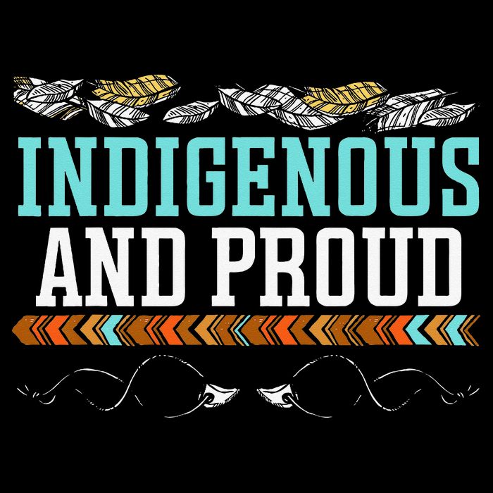Indigenous And Proud Native American Native Pride 7-Panel Snapback Hat