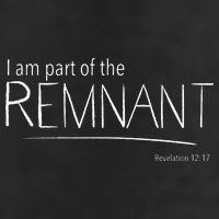 I Am Part Of The Remnant Revelation 12 Seventh Day Adventist 7 Panel Mesh Trucker Snapback Hat